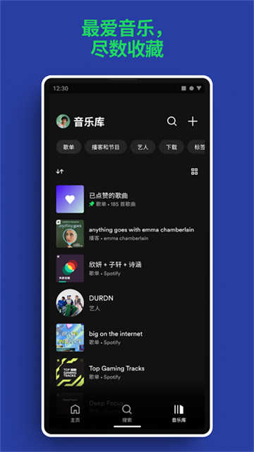 Spotify图2