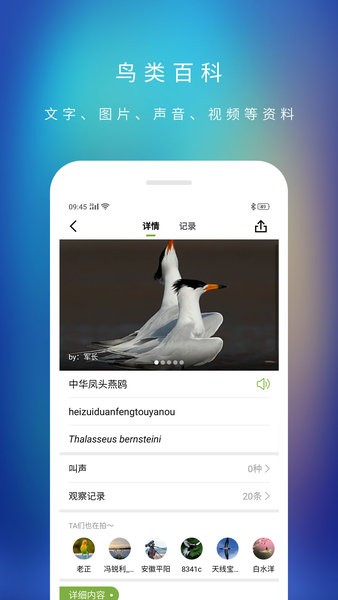 爱鸟国际图4