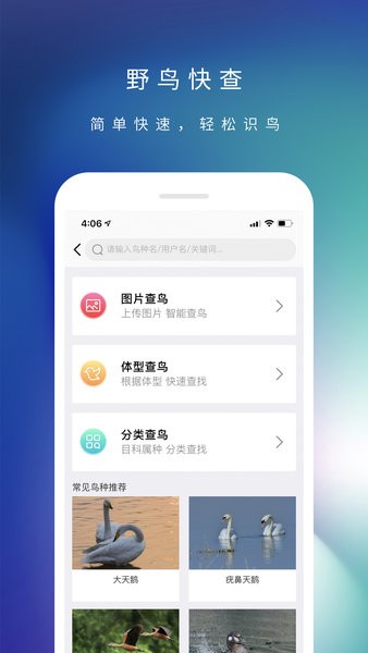 爱鸟国际图2