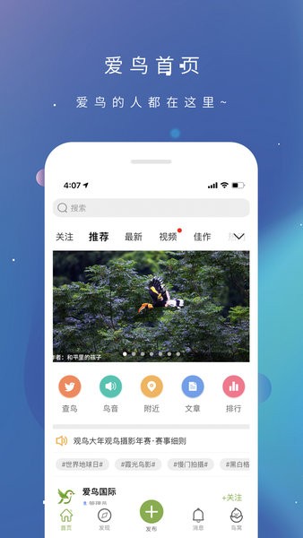 爱鸟国际图1