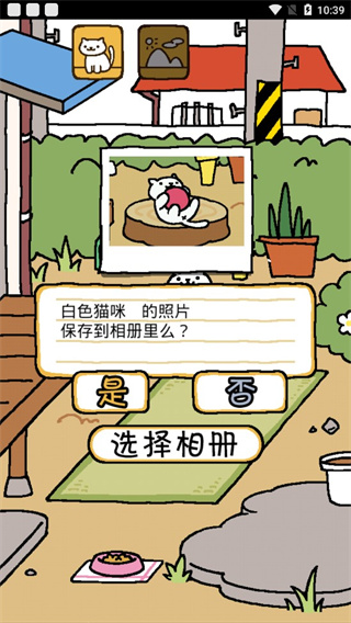 猫咪后院2图2
