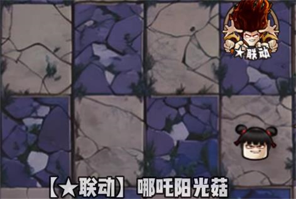 植物大战僵尸神奇植物版图3