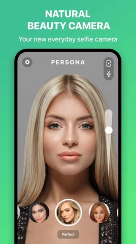 persona相机图2