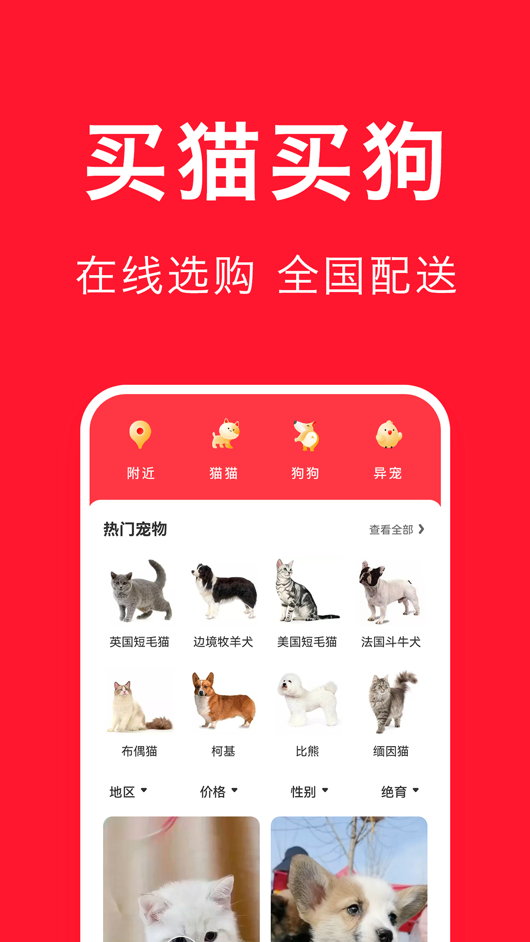 宠物宝图1
