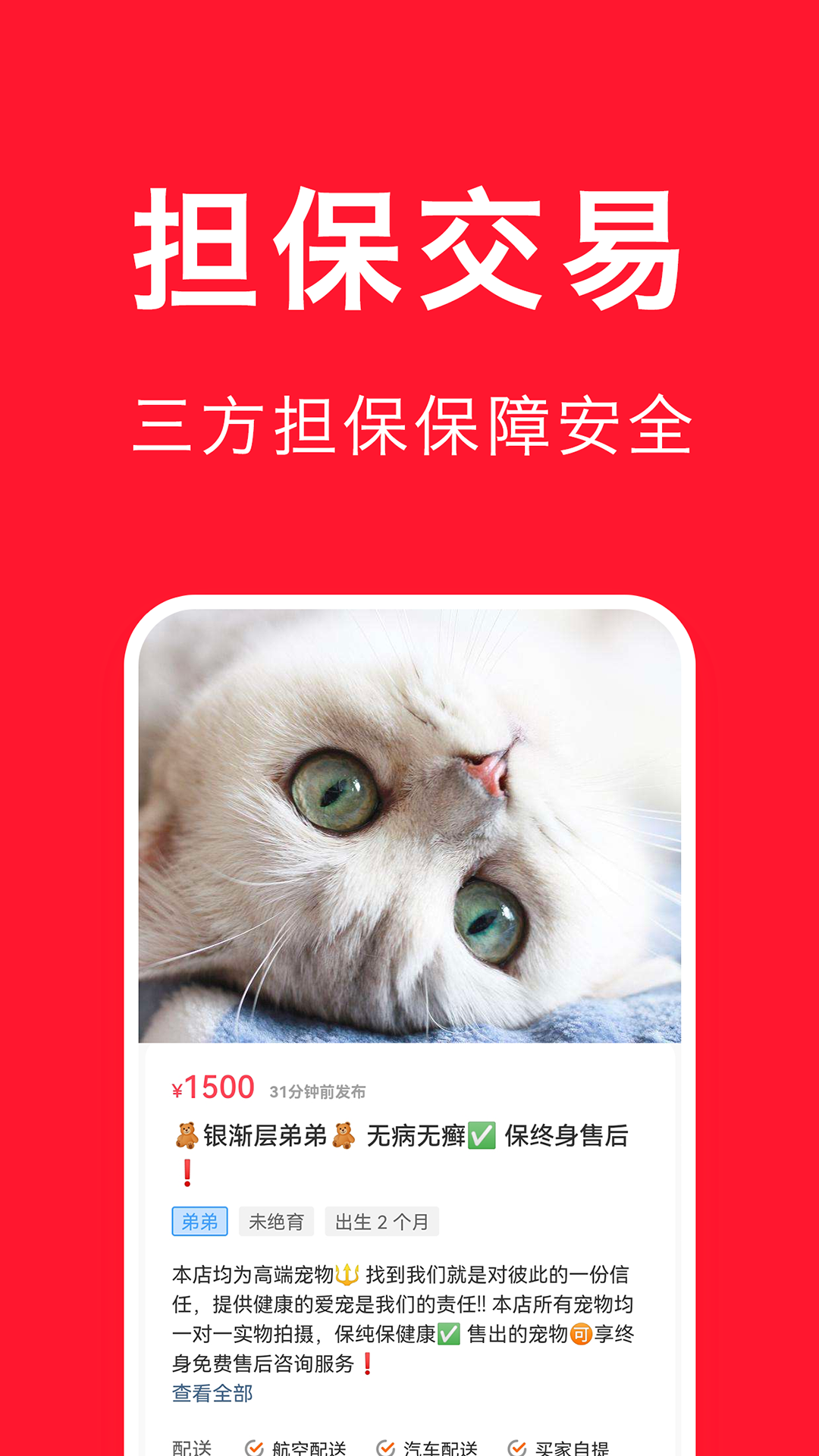 宠物宝图2