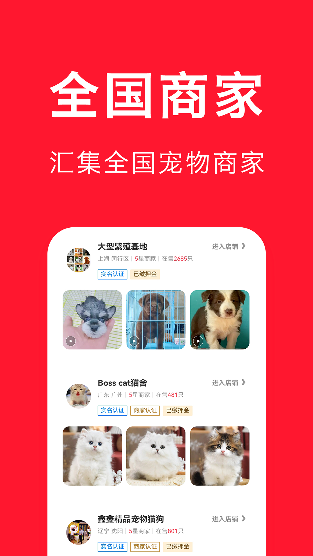 宠物宝图3