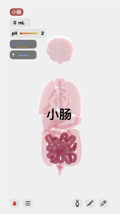 生命life图2