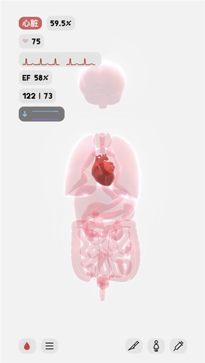 生命life图3