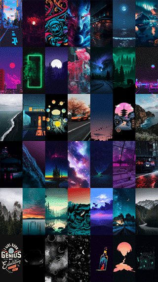 walli图1