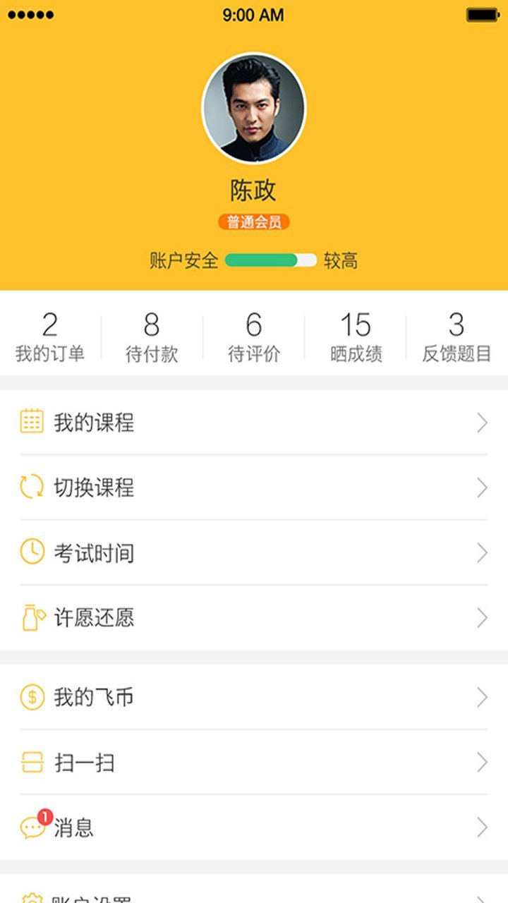 飞行之翼图4