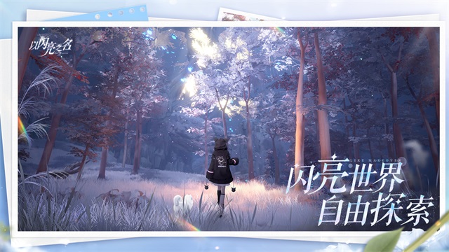 以闪亮之名图3