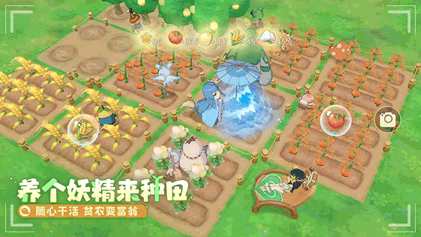 织梦森林图5