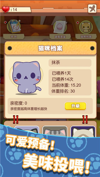 养只大肥猫图5