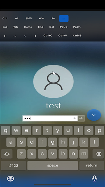 RustDesk图2