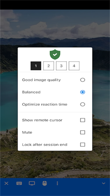 RustDesk图3
