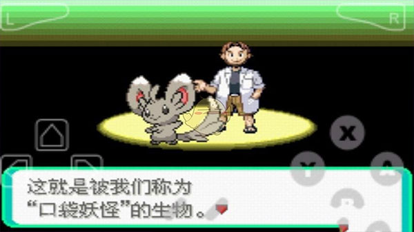 口袋妖怪漆黑的魅影图3