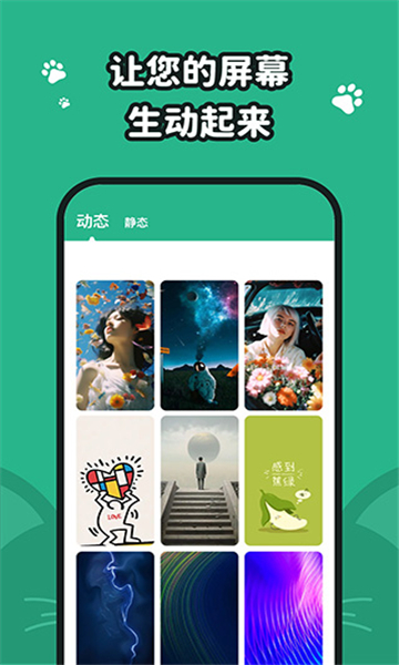 叮咚壁纸图4