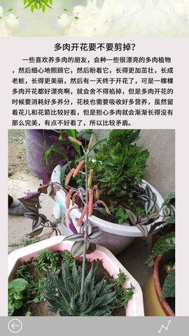多肉花草日记软件图2