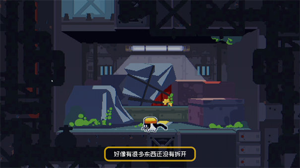 CATO黄油猫图4