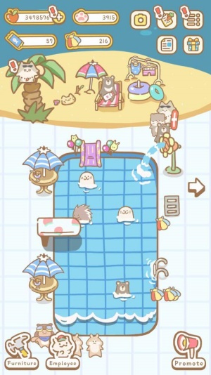 CatSpa图3