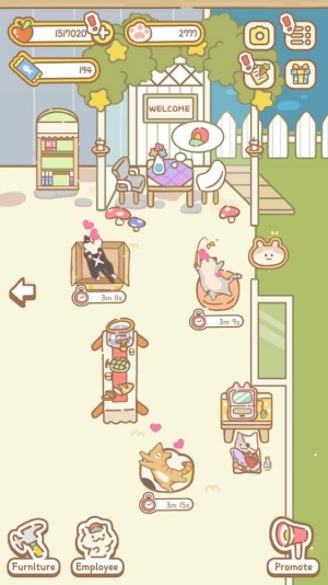 CatSpa图1