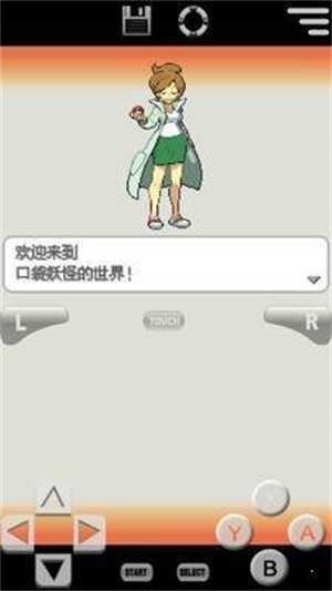 口袋妖怪白2图3