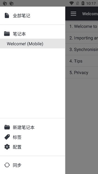 joplin图4