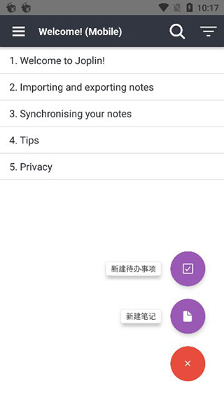 joplin图5
