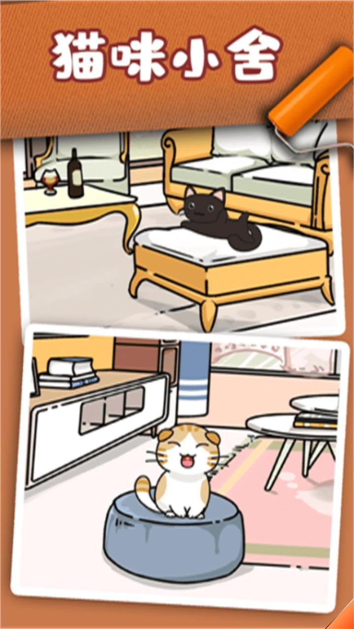 猫咪小舍图3