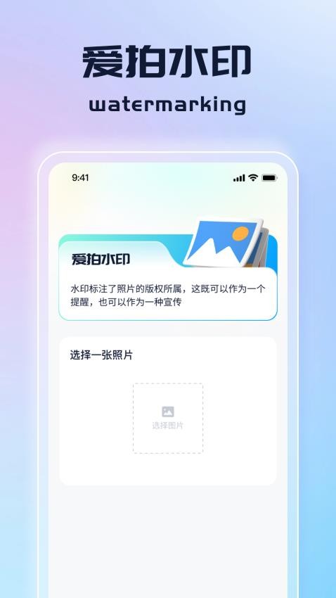 天天爱拍图4