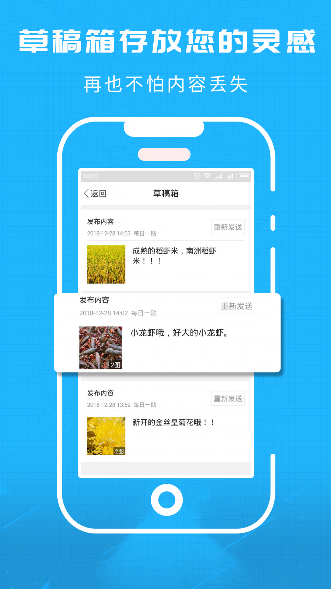 洞庭虾网图4