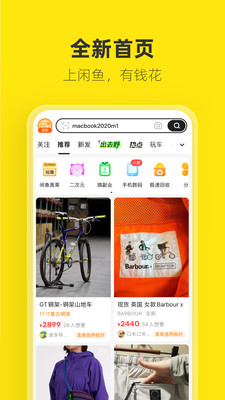 闲鱼图3