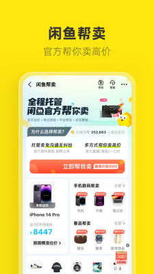 闲鱼图5