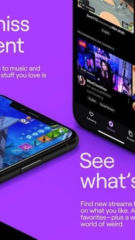 Twitch图3
