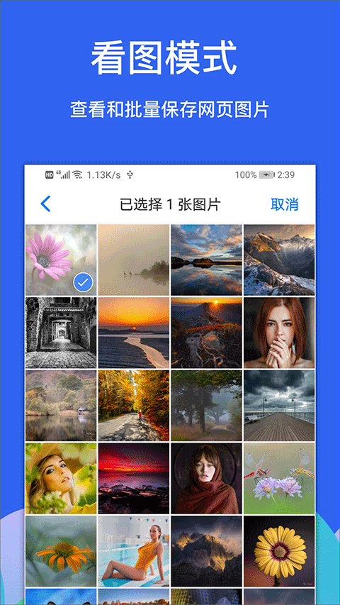 Alook浏览器图1