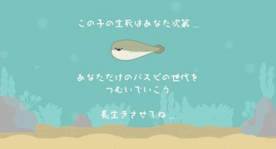 虚无鱼BasPi图1