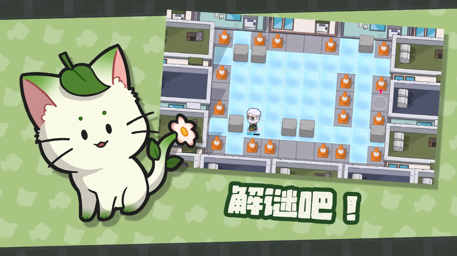 猫咪任务图5