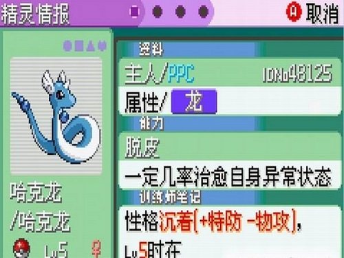口袋妖怪珍珠汉化版图2