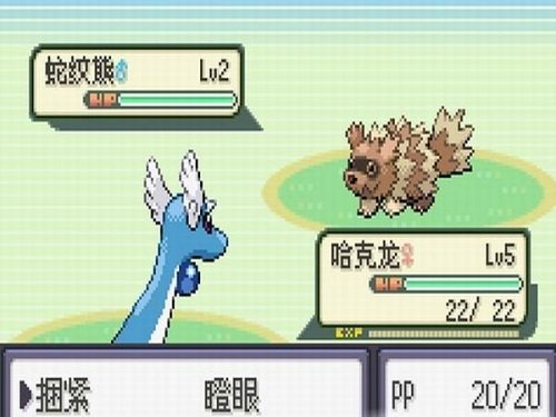 口袋妖怪珍珠汉化版图3