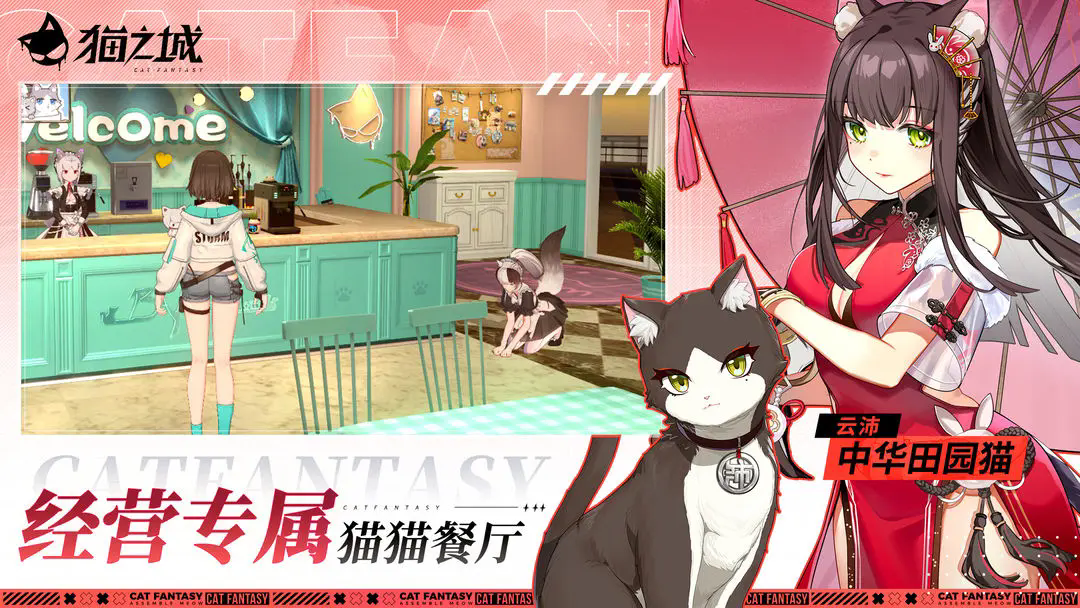 猫之城图3