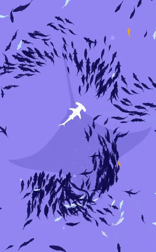 鱼群图1