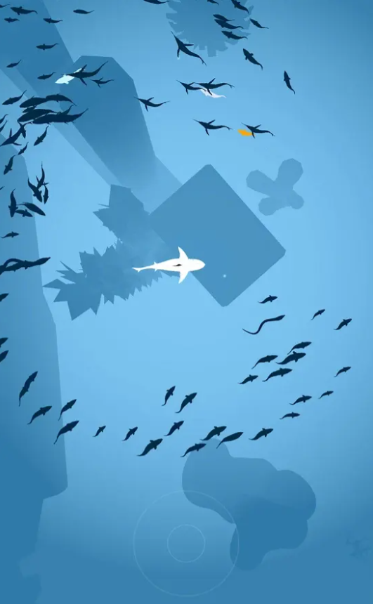 鱼群图2