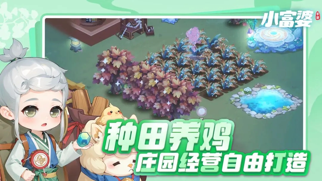 小富婆图2