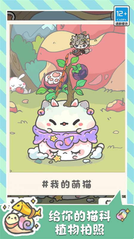 萌猫奇妙世界图3