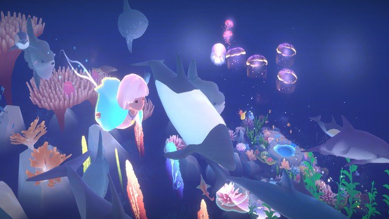 深海庭院2024图2