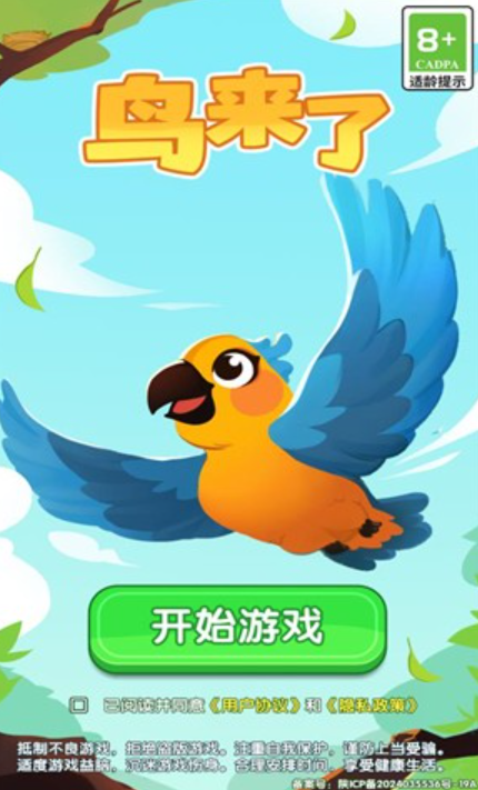 鸟来了图1