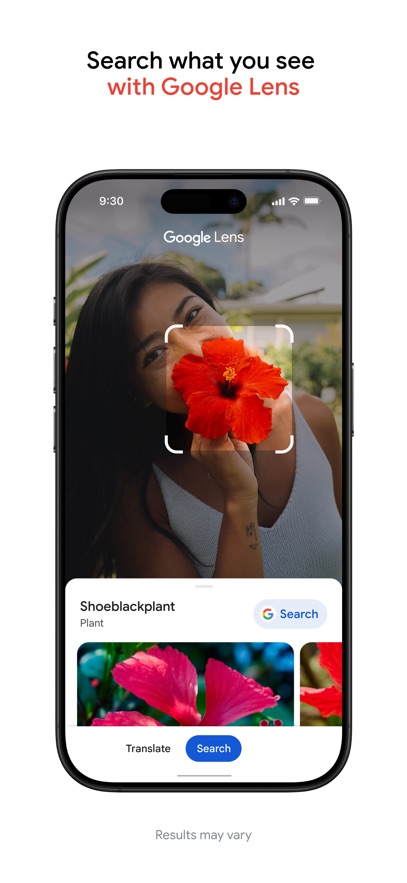 google相册图3