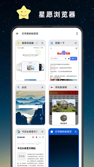 星愿浏览器图3