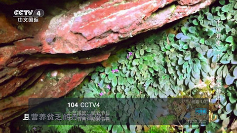 彩桥TV图2