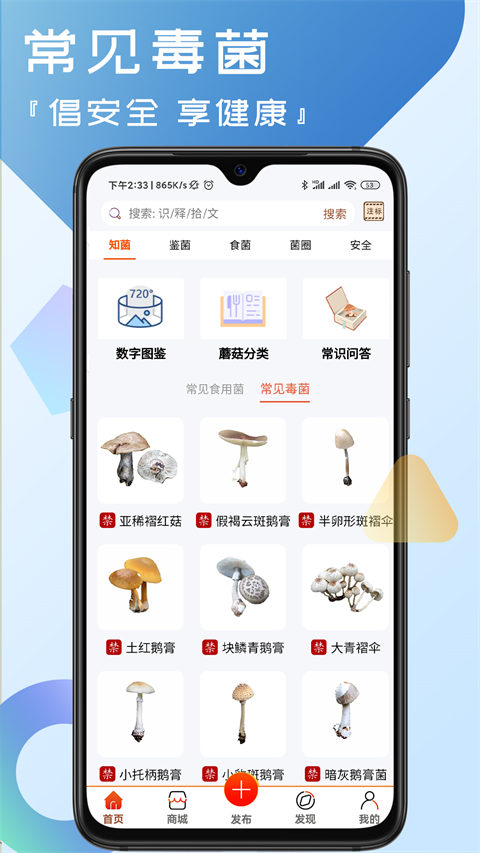 菌窝子图1